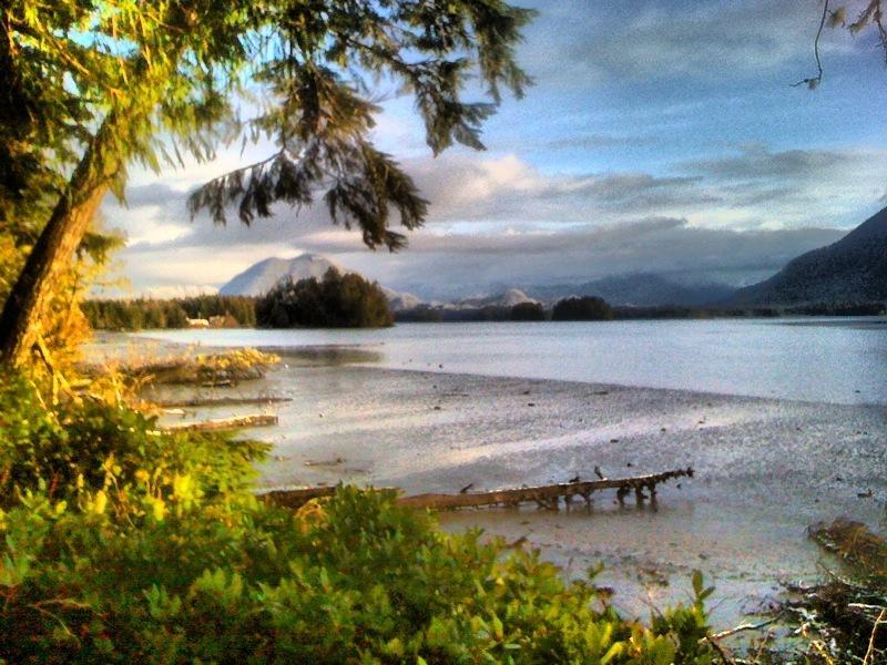 Black Bear Guesthouse Tofino Exterior photo